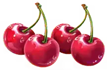 Cherries symbol paytable Fire Coins