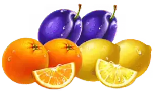 Plums and Oranges symbols paytable Fire Coins