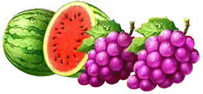Watermelon and Grapes symbols paytable Fire Coins